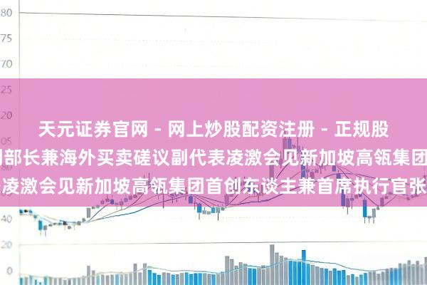 天元证券官网 - 网上炒股配资注册 - 正规股票杠杆怎么开户 商务部副部长兼海外买卖磋议副代表凌激会见新加坡高瓴集团首创东谈主兼首席执行官张磊