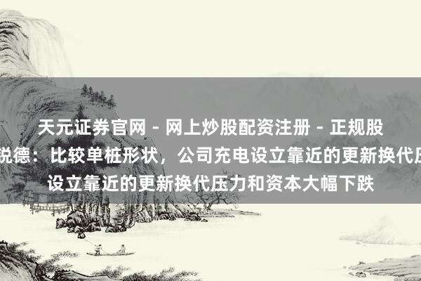 天元证券官网 - 网上炒股配资注册 - 正规股票杠杆怎么开户 特锐德：比较单桩形状，公司充电设立靠近的更新换代压力和资本大幅下跌