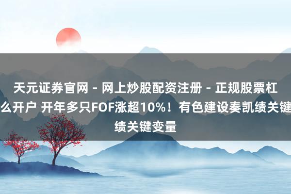 天元证券官网 - 网上炒股配资注册 - 正规股票杠杆怎么开户 开年多只FOF涨超10%！有色建设奏凯绩关键变量