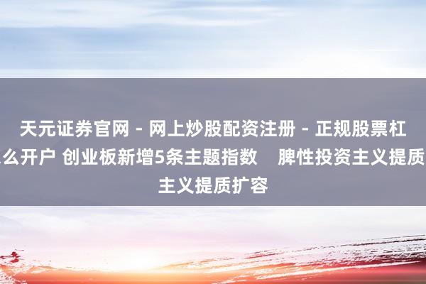 天元证券官网 - 网上炒股配资注册 - 正规股票杠杆怎么开户 创业板新增5条主题指数    脾性投资主义提质扩容