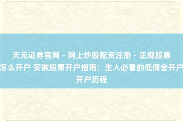 天元证券官网 - 网上炒股配资注册 - 正规股票杠杆怎么开户 安徽股票开户指南：生人必看的低佣金开户历程