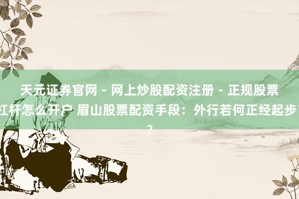 天元证券官网 - 网上炒股配资注册 - 正规股票杠杆怎么开户 眉山股票配资手段：外行若何正经起步？