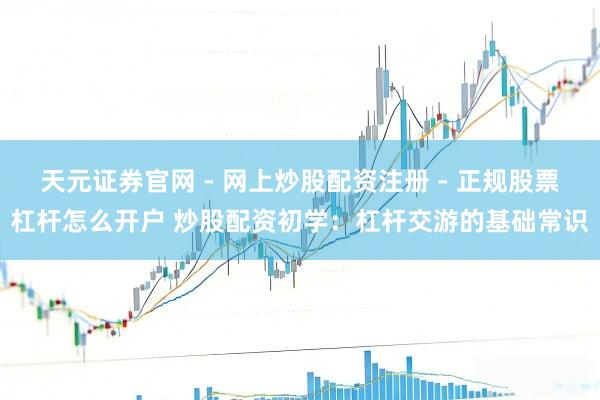 天元证券官网 - 网上炒股配资注册 - 正规股票杠杆怎么开户 炒股配资初学：杠杆交游的基础常识
