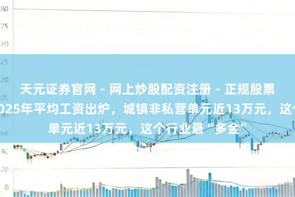 天元证券官网 - 网上炒股配资注册 - 正规股票杠杆怎么开户 2025年平均工资出炉，城镇非私营单元近13万元，这个行业最“多金”