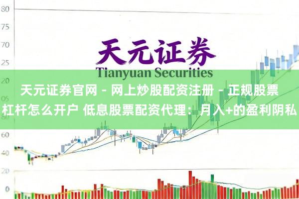 天元证券官网 - 网上炒股配资注册 - 正规股票杠杆怎么开户 低息股票配资代理：月入+的盈利阴私