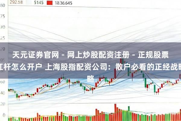 天元证券官网 - 网上炒股配资注册 - 正规股票杠杆怎么开户 上海股指配资公司：散户必看的正经战略