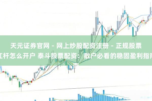 天元证券官网 - 网上炒股配资注册 - 正规股票杠杆怎么开户 泰斗股票配资：散户必看的稳固盈利指南