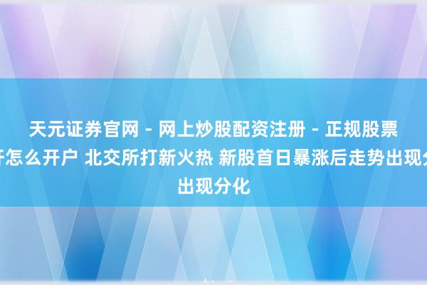 天元证券官网 - 网上炒股配资注册 - 正规股票杠杆怎么开户 北交所打新火热 新股首日暴涨后走势出现分化
