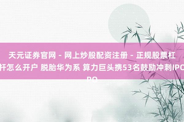 天元证券官网 - 网上炒股配资注册 - 正规股票杠杆怎么开户 脱胎华为系 算力巨头携53名鼓励冲刺IPO