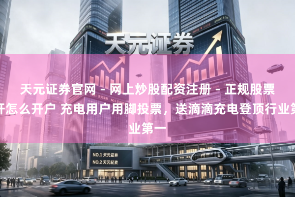 天元证券官网 - 网上炒股配资注册 - 正规股票杠杆怎么开户 充电用户用脚投票，送滴滴充电登顶行业第一