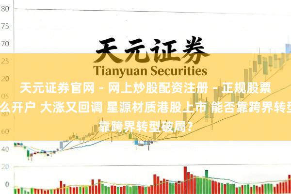 天元证券官网 - 网上炒股配资注册 - 正规股票杠杆怎么开户 大涨又回调 星源材质港股上市 能否靠跨界转型破局？