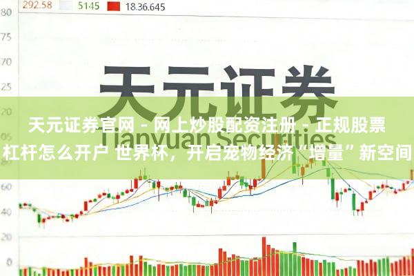 天元证券官网 - 网上炒股配资注册 - 正规股票杠杆怎么开户 世界杯，开启宠物经济“增量”新空间