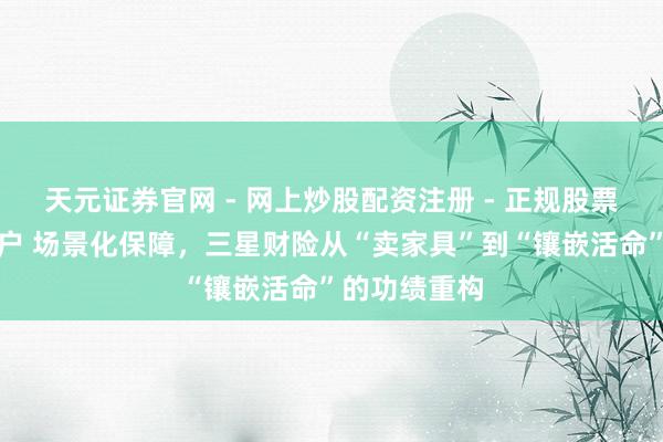 天元证券官网 - 网上炒股配资注册 - 正规股票杠杆怎么开户 场景化保障，三星财险从“卖家具”到“镶嵌活命”的功绩重构