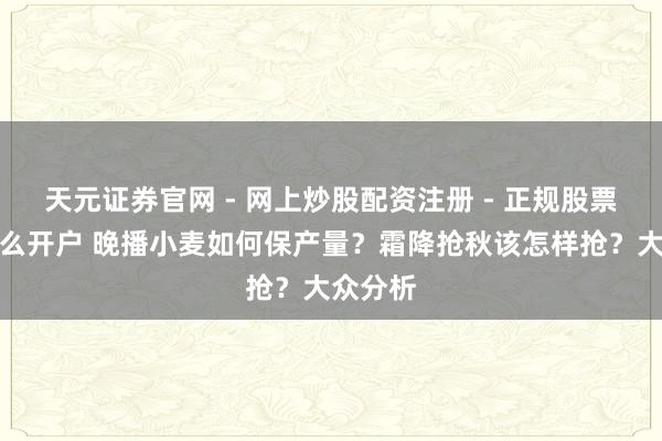 天元证券官网 - 网上炒股配资注册 - 正规股票杠杆怎么开户 晚播小麦如何保产量？霜降抢秋该怎样抢？大众分析