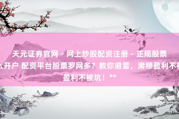 天元证券官网 - 网上炒股配资注册 - 正规股票杠杆怎么开户 配资平台股票罗网多？教你避雷，肃穆盈利不被坑！**