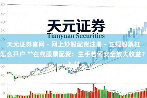 天元证券官网 - 网上炒股配资注册 - 正规股票杠杆怎么开户 **在线股票配资：生手若何安全放大收益？**